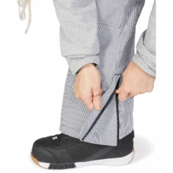 DC Crusade Bib 2023 - Women's Snowboard Bib -DC Store DCCrusadeBib2023womensHickoryStripe XBBW 3