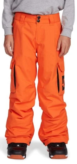 DC Youth Bansee Insulated Pants 2021-2022 -DC Store DC dc youth bansee insulated pants 2022 479985583 ski pro