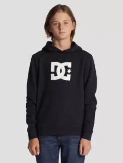 DC Star Hoodie -DC Store StarHoodie 2