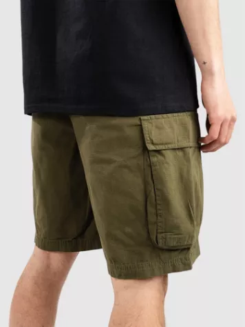 DC Tundra Cargo Shorts 4 DC Tundra Cargo Shorts - Image 2