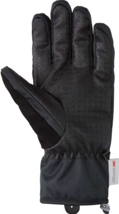DC Franchise Glove 2022-2023 -DC Store dc franchise glove 2022 2023 ski pro 54034997
