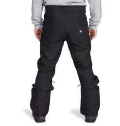 DC Relay Shell Pants 2021-2022 -DC Store dc relay shell pants 2022 ski pro back