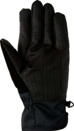 DC Salute Glove 2022-2023 -DC Store dc salute glove 2022 2023 ski pro 566741026