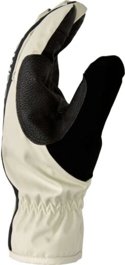DC Salute Glove 2022-2023 -DC Store dc salute glove 2022 2023 ski pro 90217270
