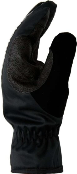 DC Salute Glove 2022-2023 -DC Store dc salute glove 2022 2023 ski pro 907439128