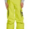 DC Youth Bansee Insulated Pants 2021-2022 -DC Store dc youth bansee insulated pants 2021 2022 ski pro 378309715
